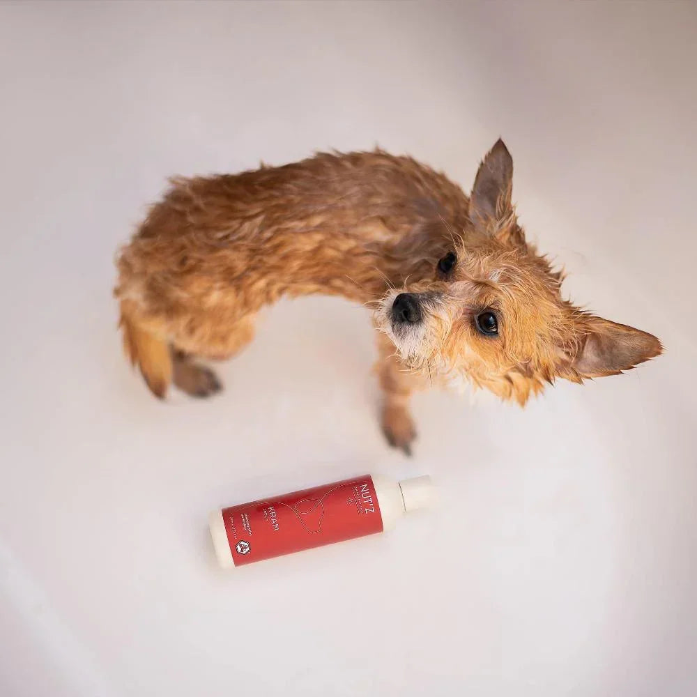 demelant pour chien nutz