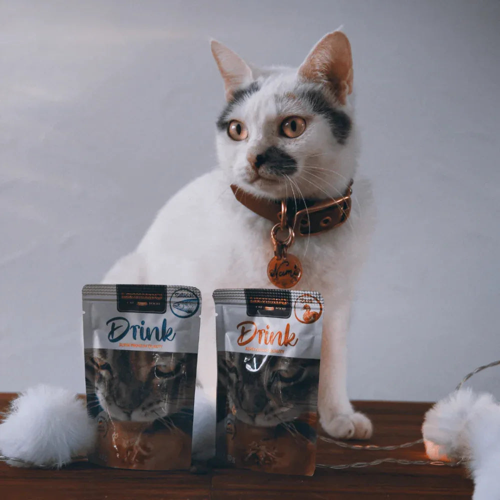 boisson pour chat drink leonardo