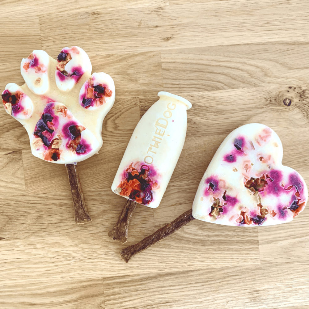 moule à glace pour chien