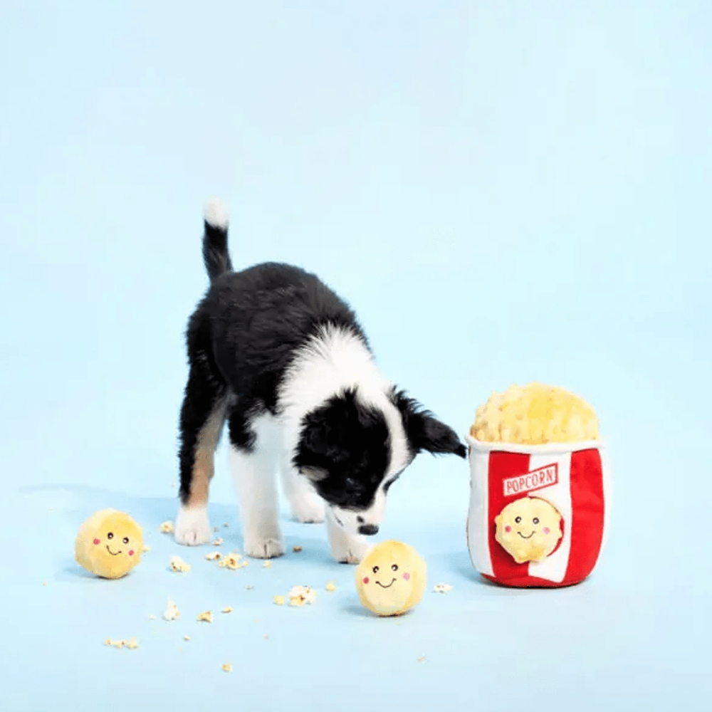 peluche d'occupation pour chien popcorn