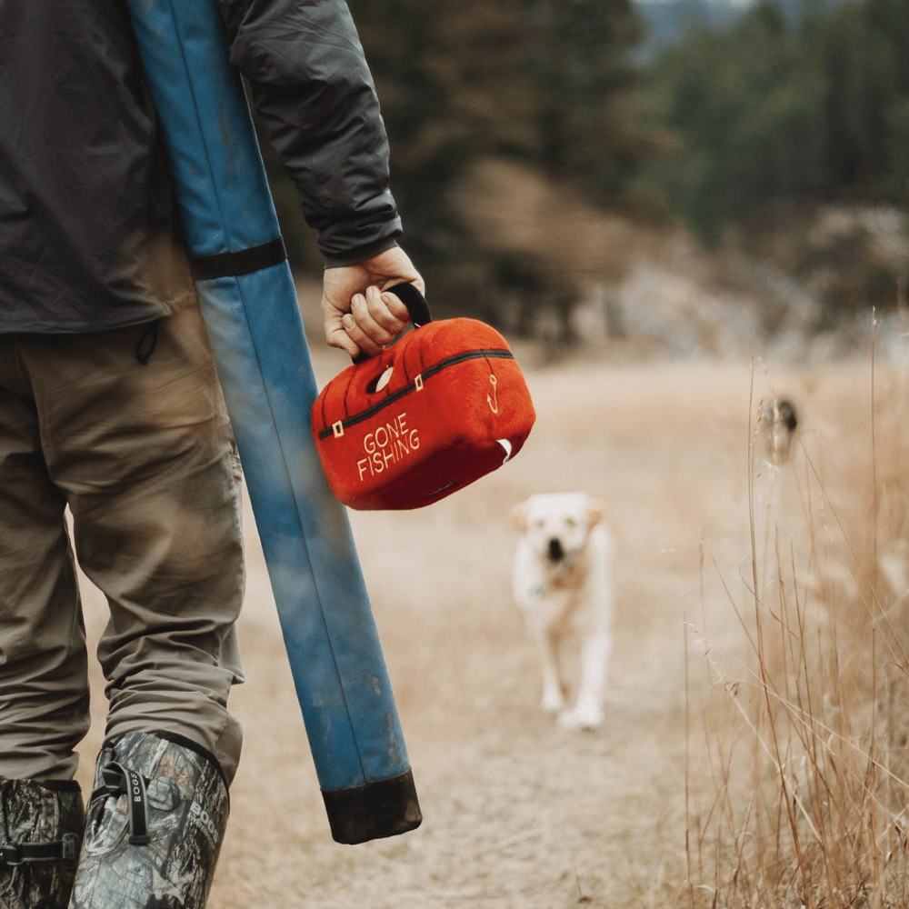 jeu d'occupation pour chien gone fishing