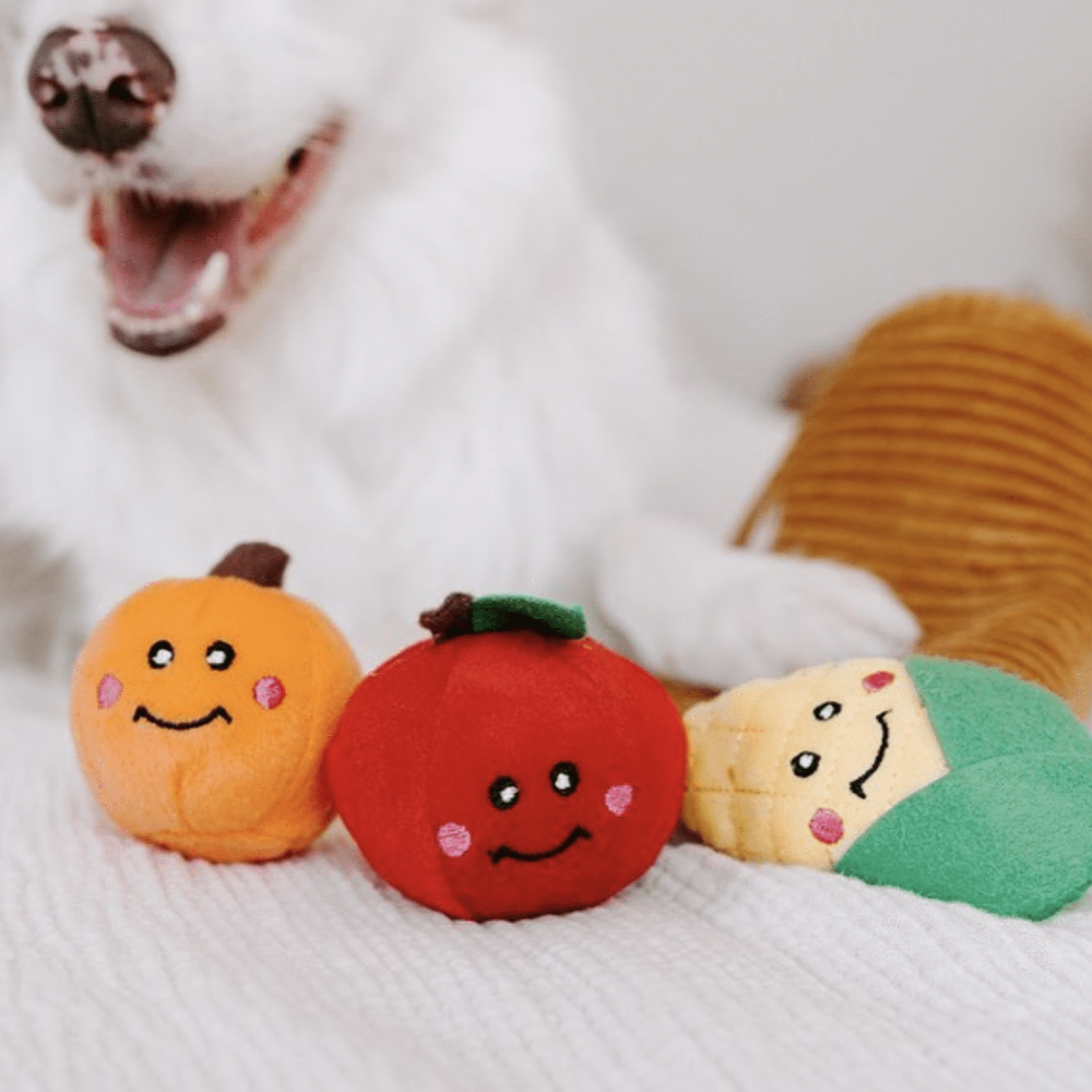 jeu d occupation pour chiot