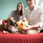jeu d'occupation pour chiot banane