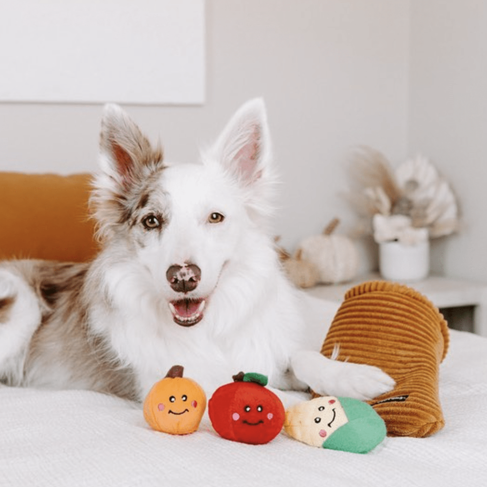 jouet de fouille pour chien corne