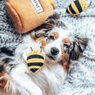 jouet pour chien honey aussie sedona