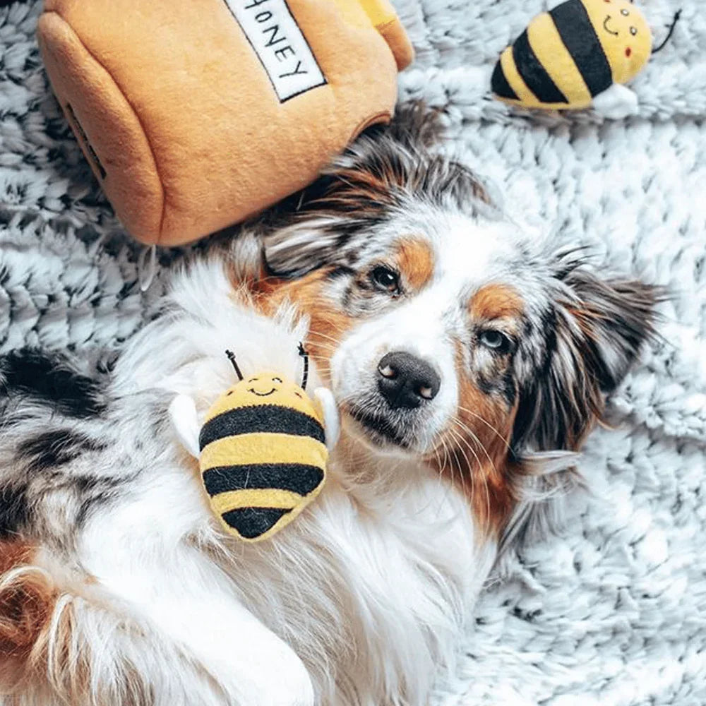 jouet pour chien honey aussie sedona