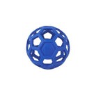 Balle JW Hol-ee Roller - aPETite Store