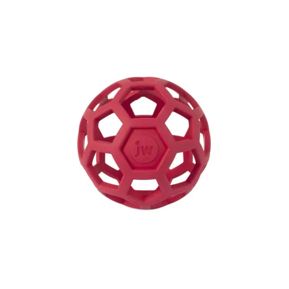 Balle JW Hol-ee Roller - aPETite Store