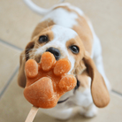Moule pattes pour glaces BegBuddy - aPETite Store
