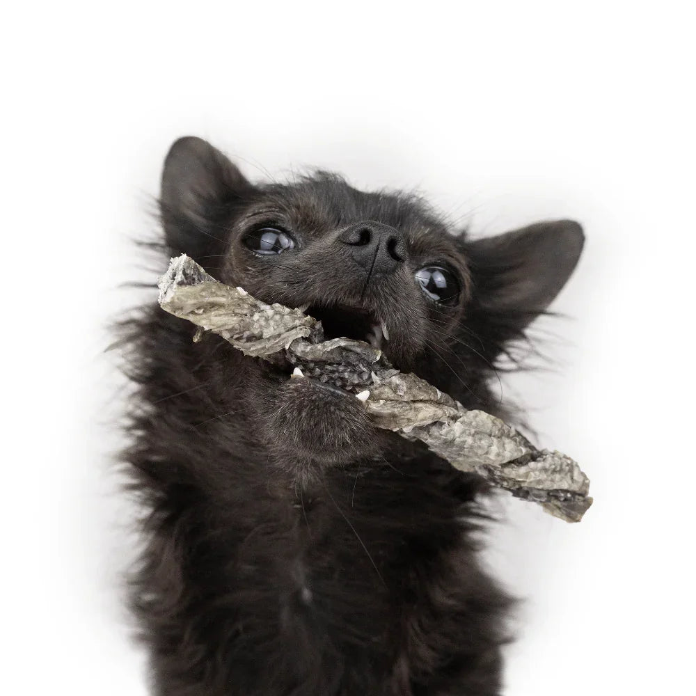 tresses de morue pour chiens