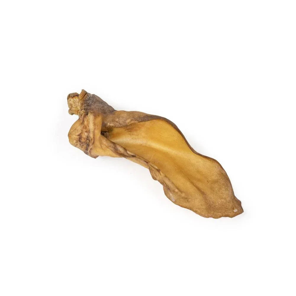 Oreilles de boeuf - aPETite Store