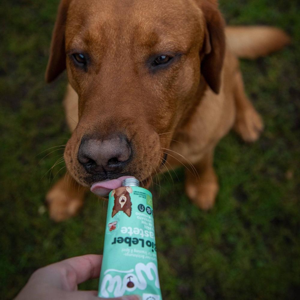patee en tube pour chien bio