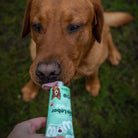 patee en tube pour chien bio