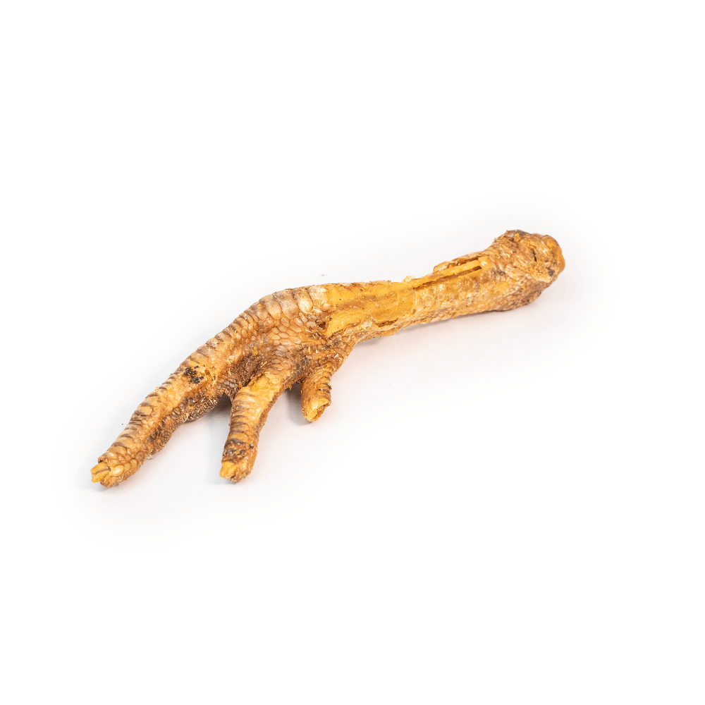patte de dinde chien