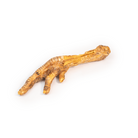 patte de dinde chien