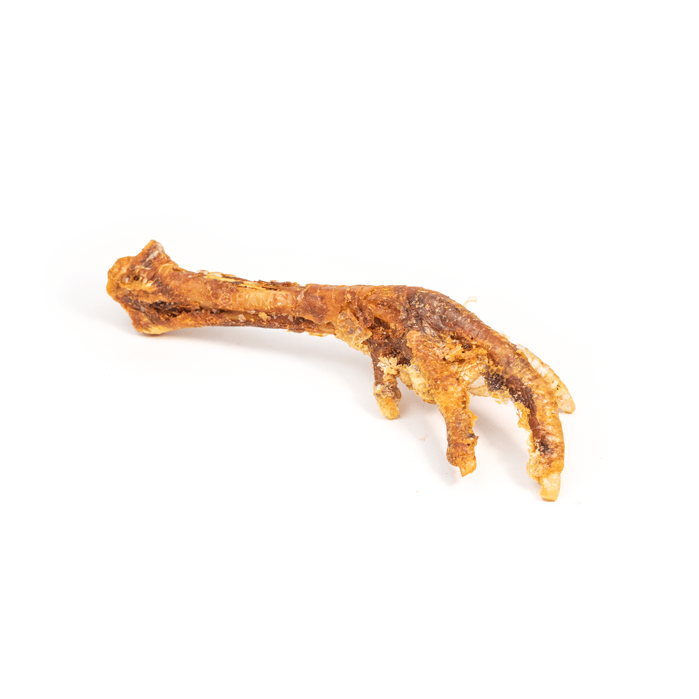 patte de dinde pour chien