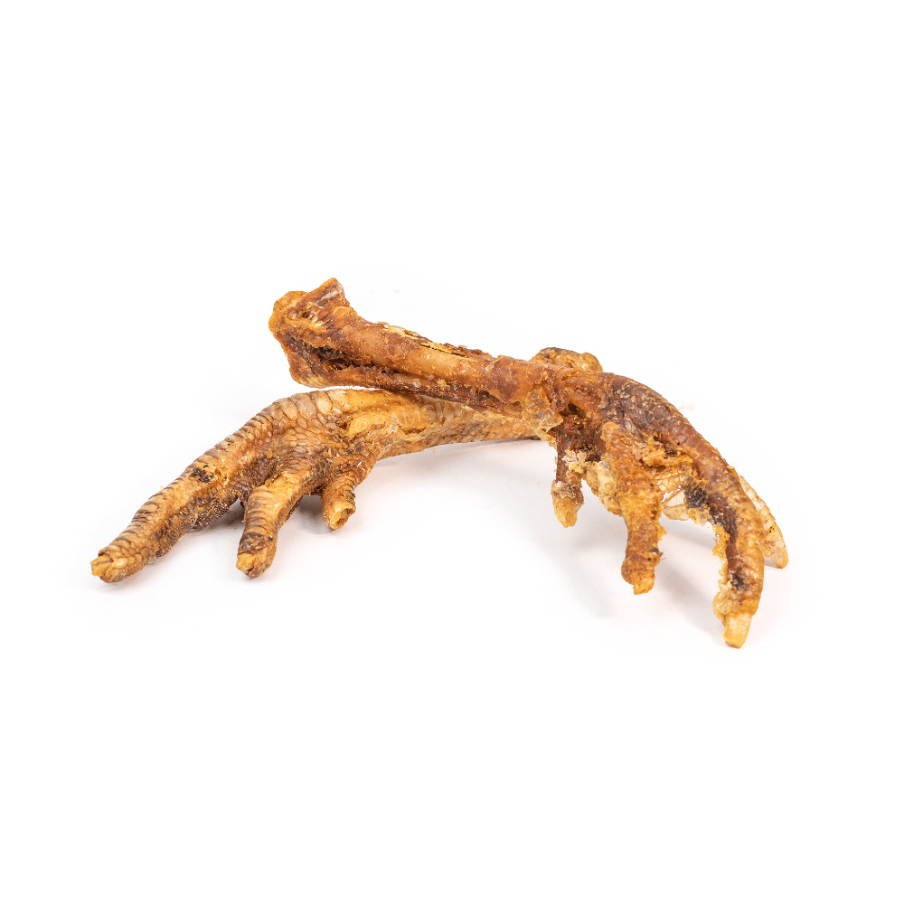 patte de dinde pour chien