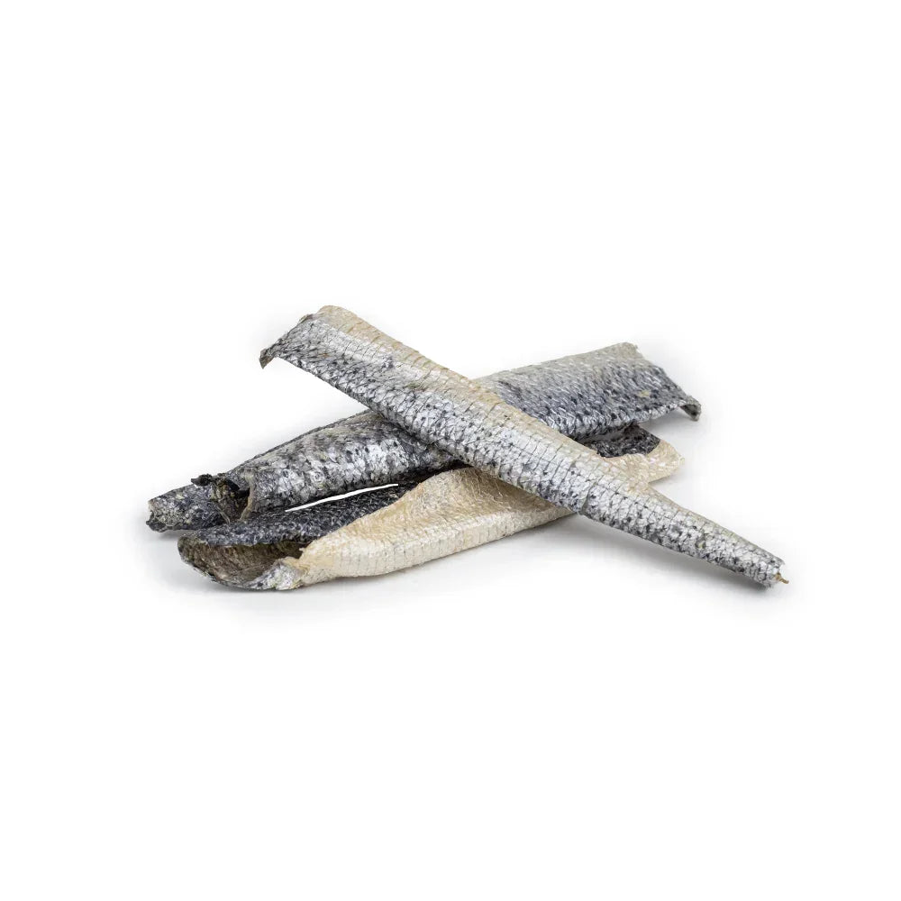 peau de saumon pour chien