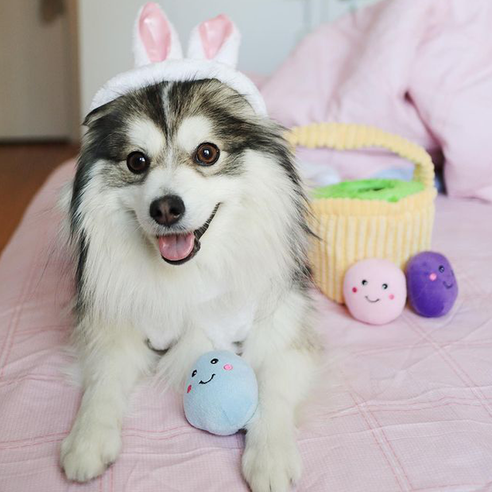 peluche chien panier de paques