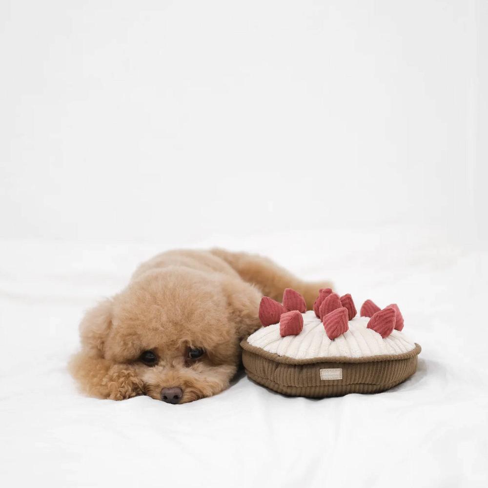 peluche de fouille tarte pour chien