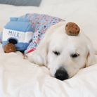 peluche milk and cookies chien