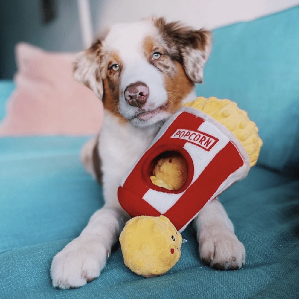 peluche pour berger australien
