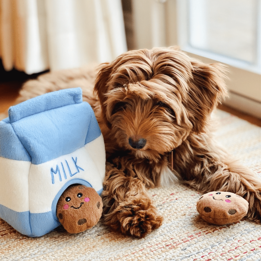 peluche pour chien cookie