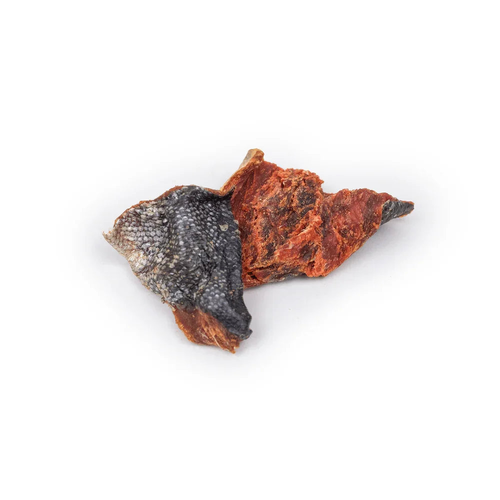 morceaux de saumon sauvage pour chiens