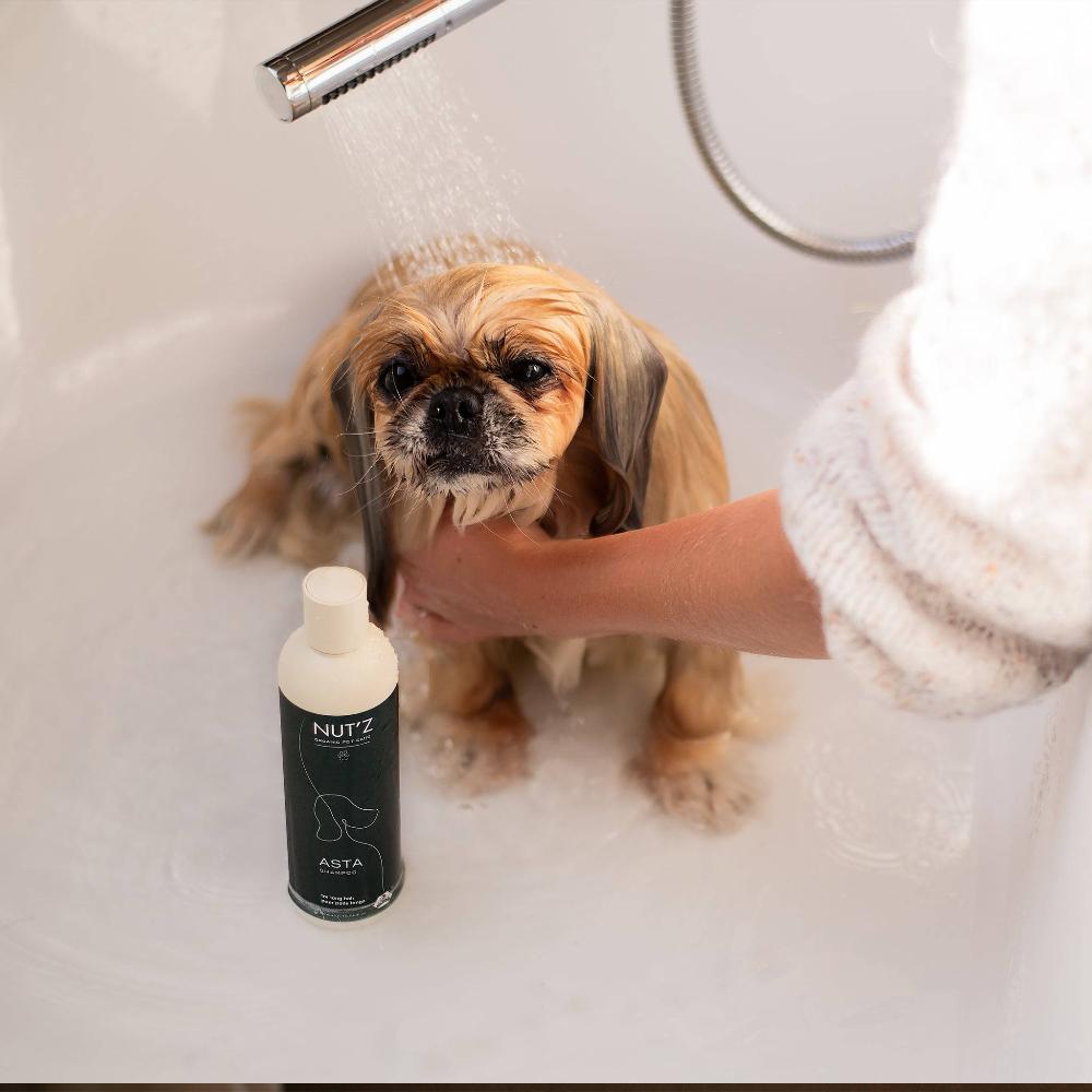 shampoing pour chien nutz asta