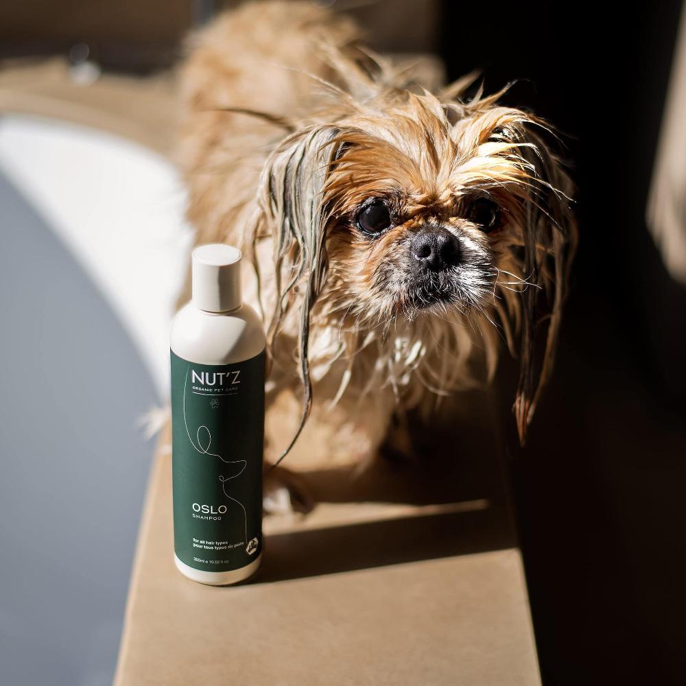 shampoing pour chien nutz oslo