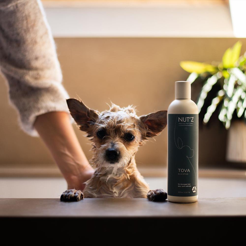 shampoing pour chien nutz tova