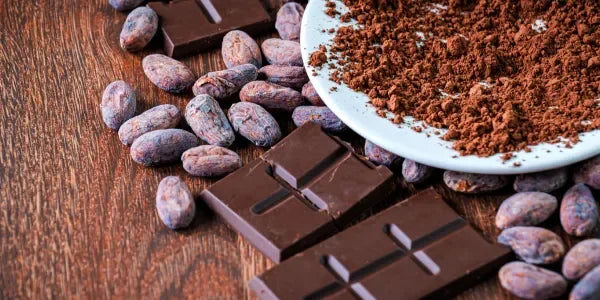 Calculateur toxicité chocolat chien : évaluer le risque en cas d’intoxication