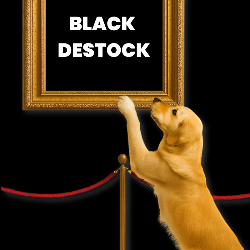Black Destock – Destockage & disgracieux
