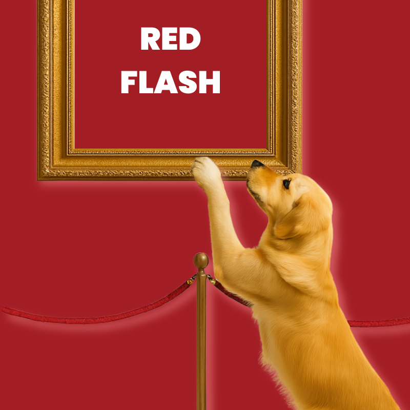 Red Flash – Ventes flash