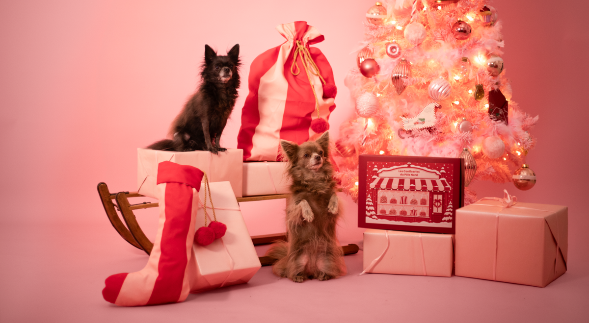 Cadeau Noël Chien Image
