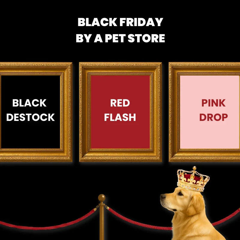 Black Friday by A PET STORE