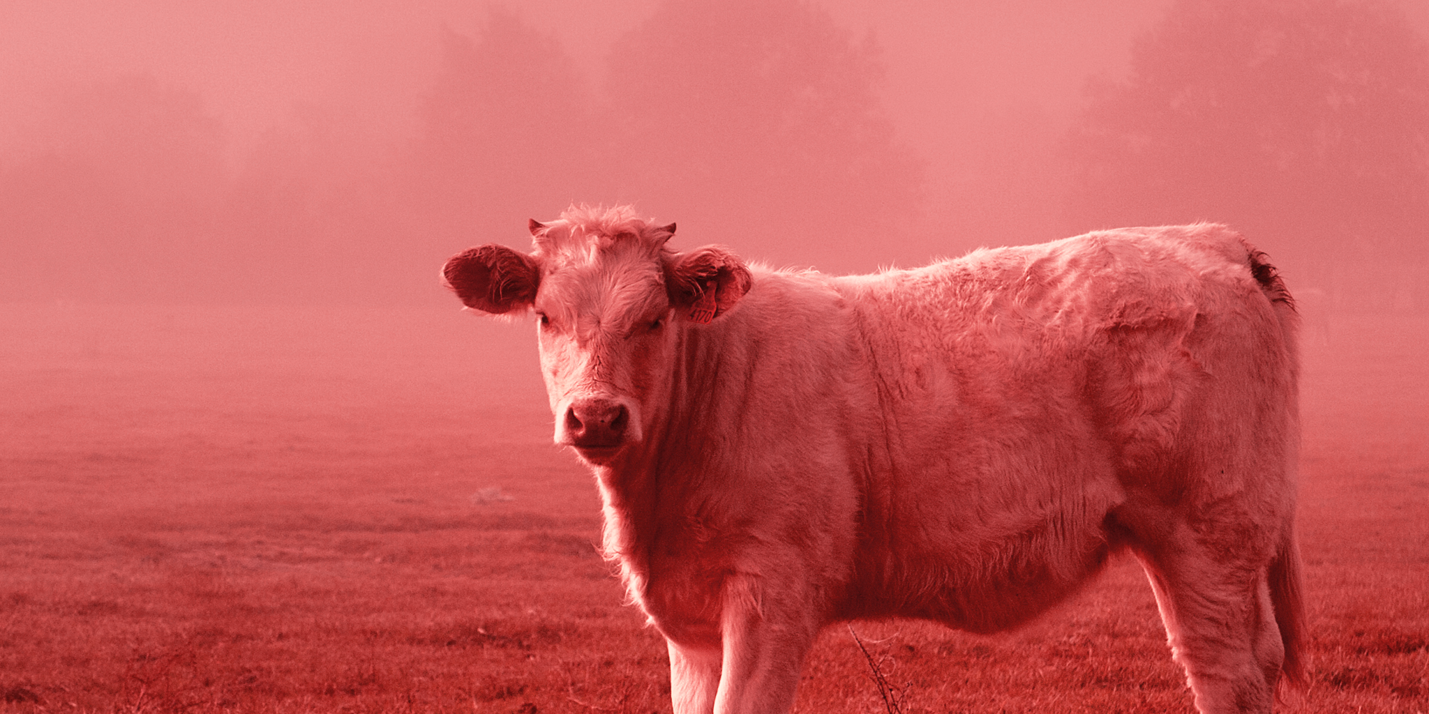 La Ferme