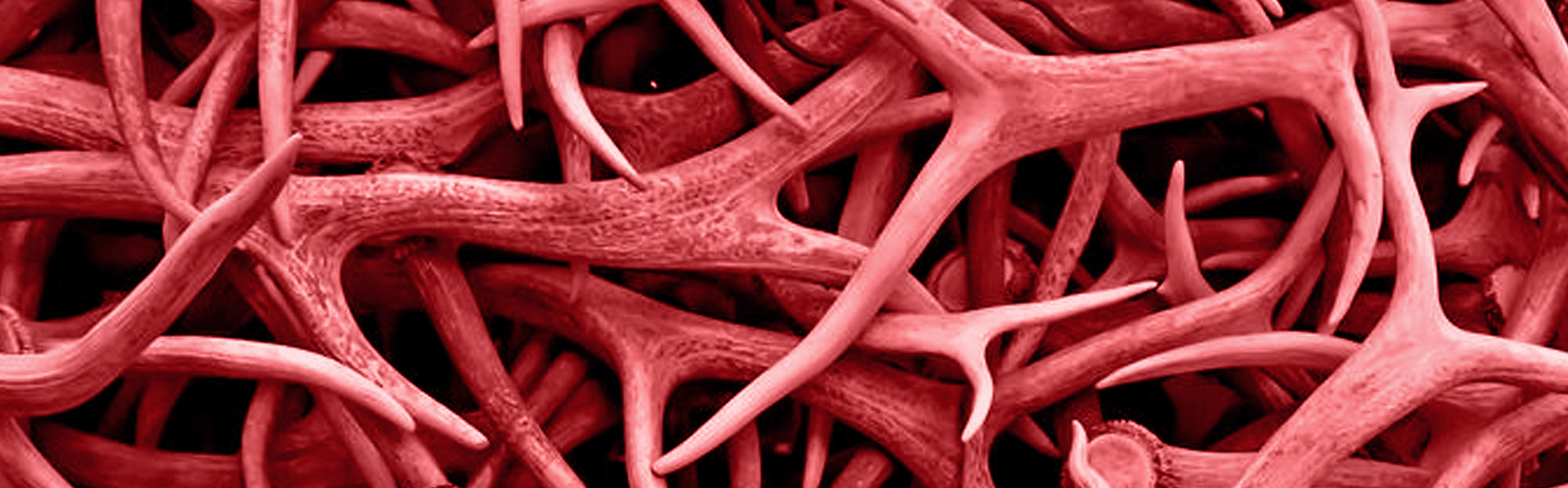 Mastication pure