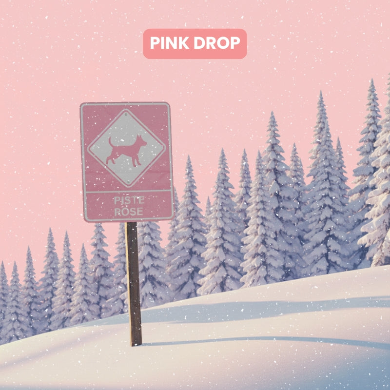 dalmatien content dans l herbe