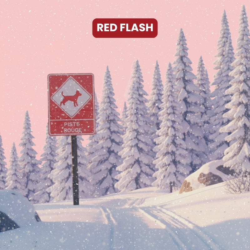 Red Flash – Ventes flash