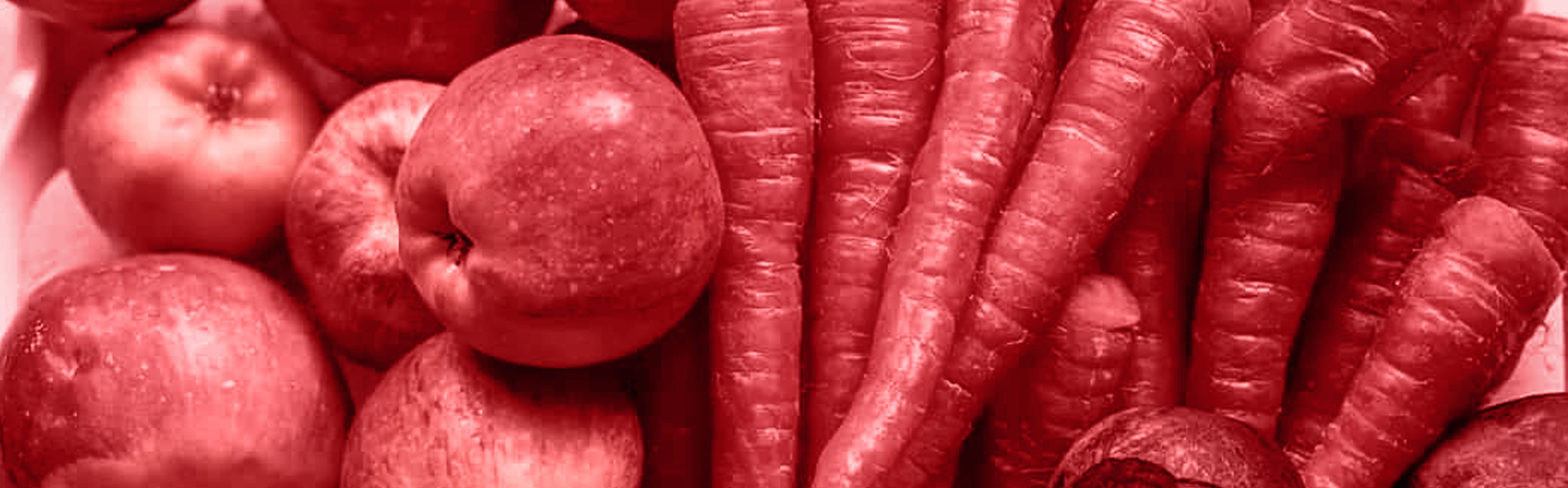 fruits et légumes pour chiens
