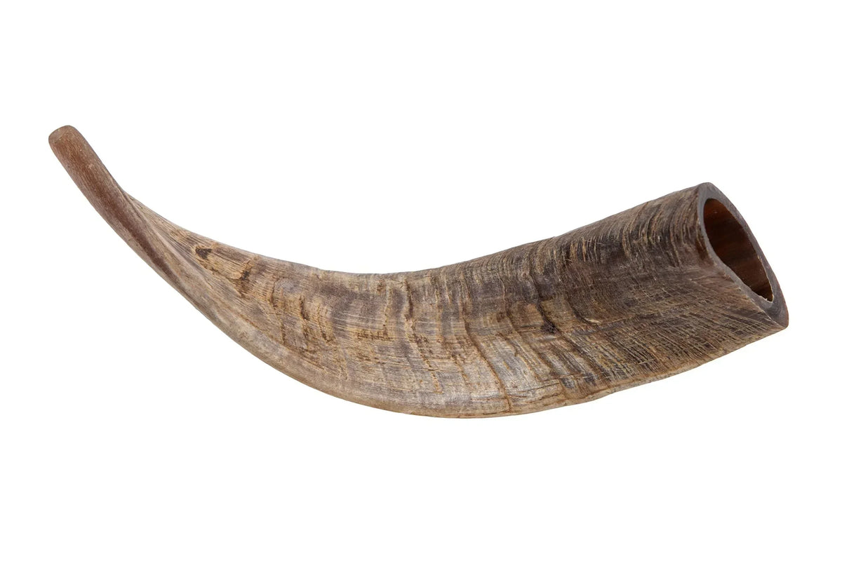 Corne de chèvre – Mastication longue pour chiens