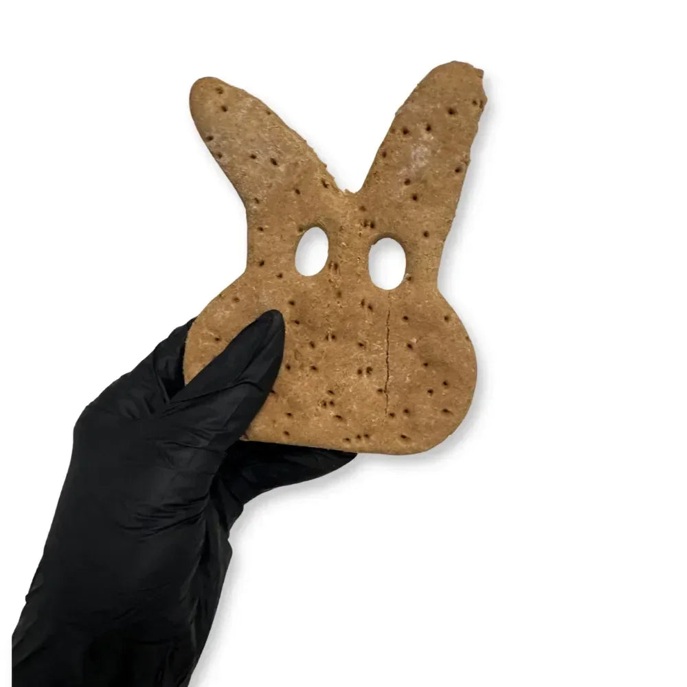 Paul – Biscuit de Pâques XL pour chiens – Edition limitée – 1 pièce