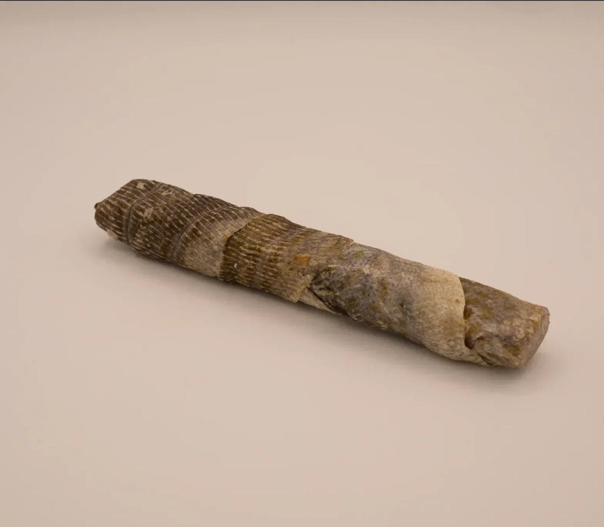 Barre de cabillaud – Mastication gourmande pour chiens –  1 pièce