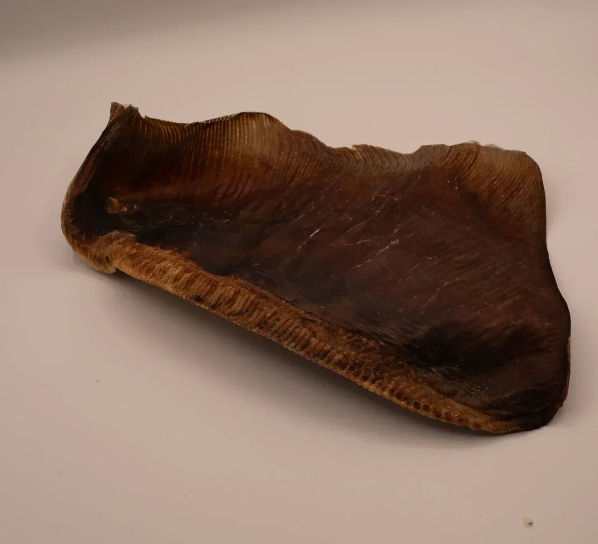 Aile de raie – Poisson entier – Mastication gourmande XXL pour chiens – 1 pièce