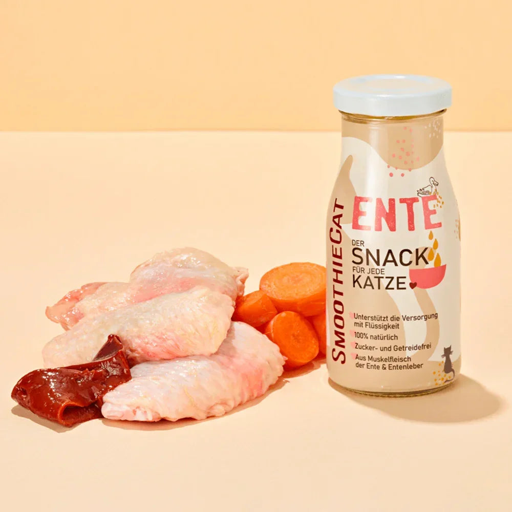 smoothie chat canard