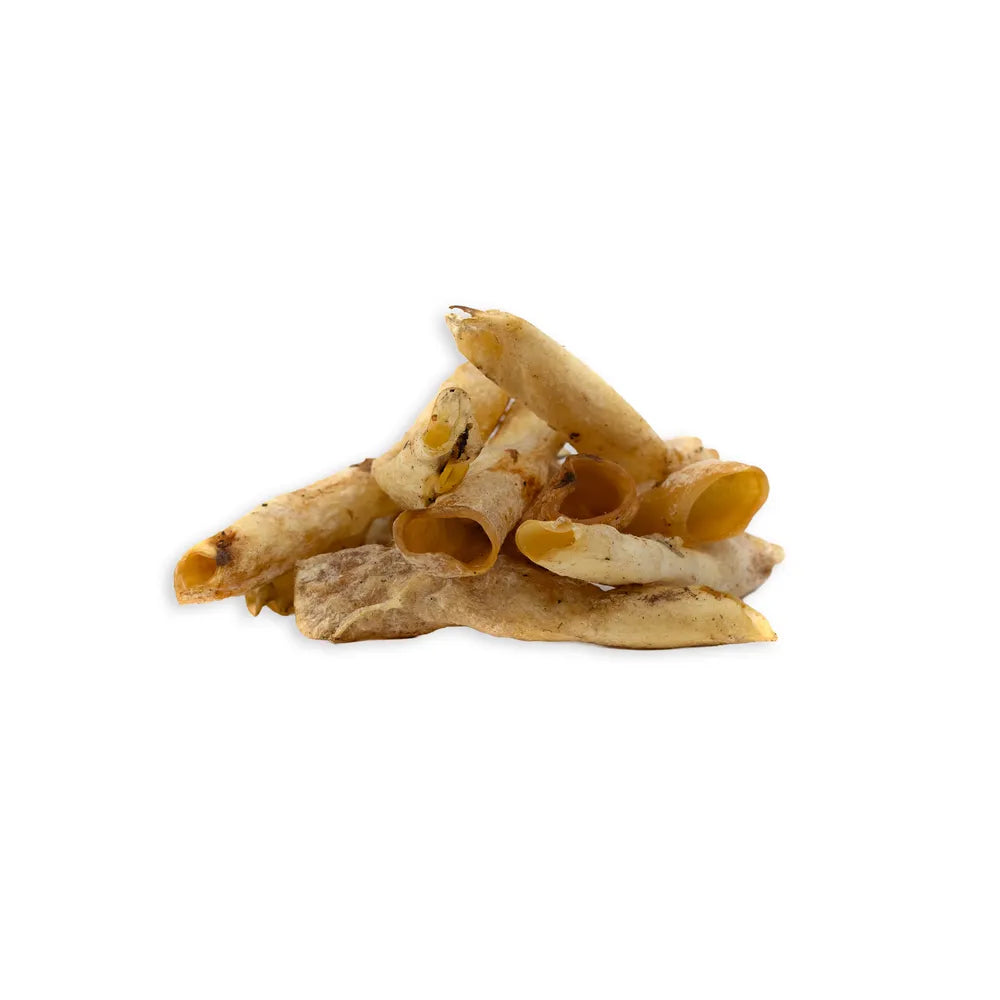 Aorte d'autruche – Gourmandise pour chien
