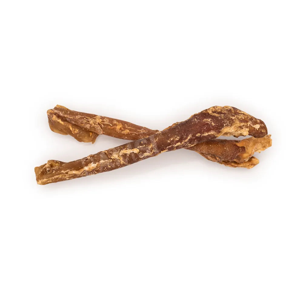 Aorte de bœuf – Mastication gourmande pour chien