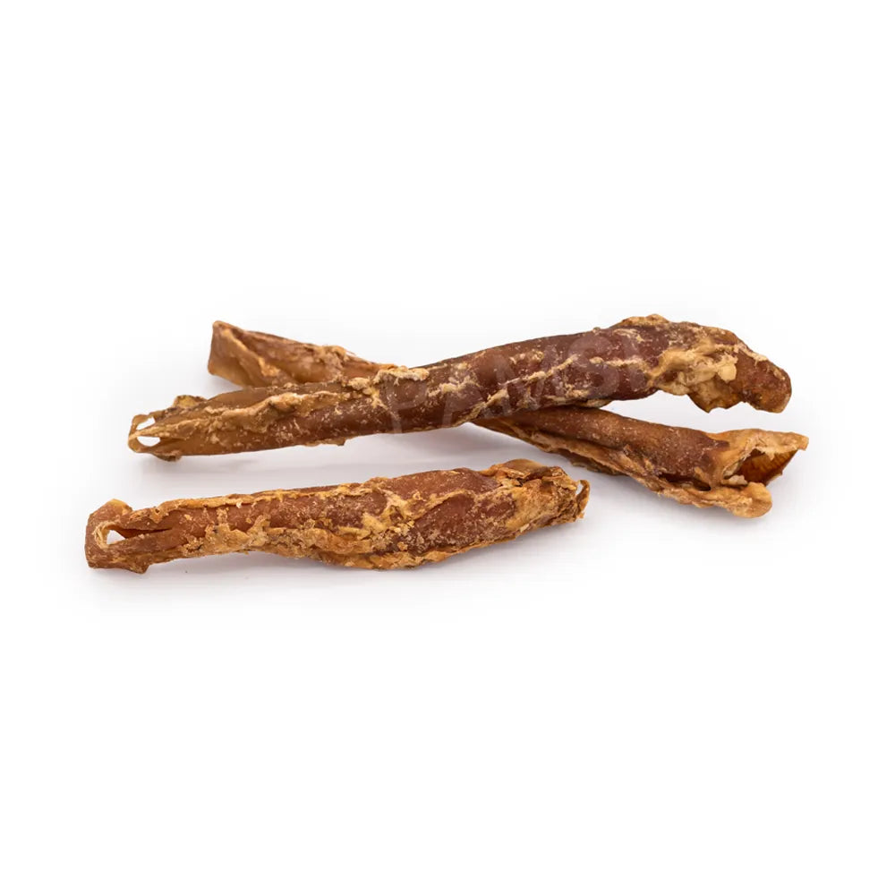 Aorte de bœuf – Mastication gourmande pour chien