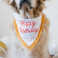 Bandana et os couineur d'anniversaire pour chien – ZippyPaws